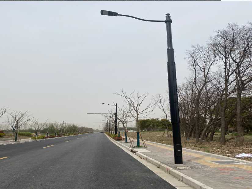 彭山区上海综合杆 太阳能路灯工程